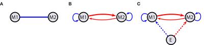 Intraindividual time-varying dynamic network of affects: linear autoregressive mixed-effects models for ecological momentary assessment